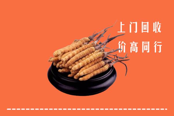 高价求购：城北区回收散虫草