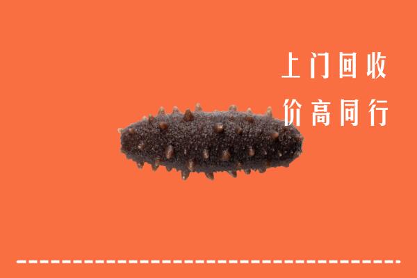 高价求购：城北区回收海参