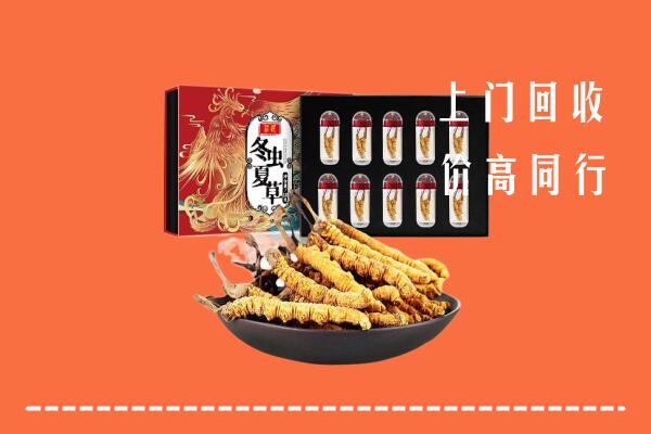 城北区回收虫草